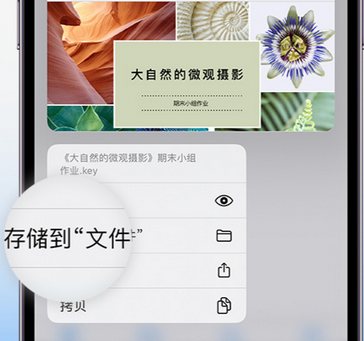 隆昌apple维修中心分享iPhone文件应用中存储和找到下载文件