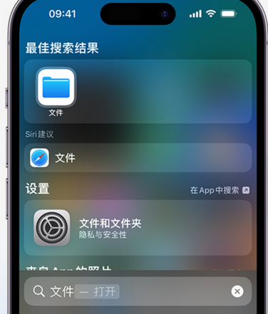 隆昌apple维修中心分享iPhone文件应用中存储和找到下载文件 