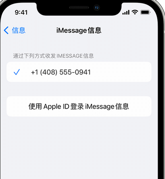 隆昌apple维修iPhone上无法正常发送iMessage信息 