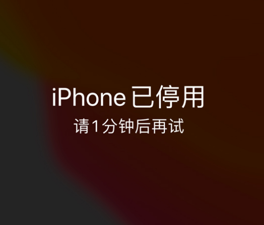 隆昌苹果手机维修分享:iPhone 显示“不可用”或“已停用”怎么办？还能保留数据吗？ 