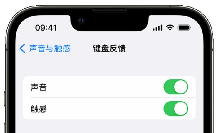 隆昌苹果手机维修分享iPhone 14触感键盘使用方法 