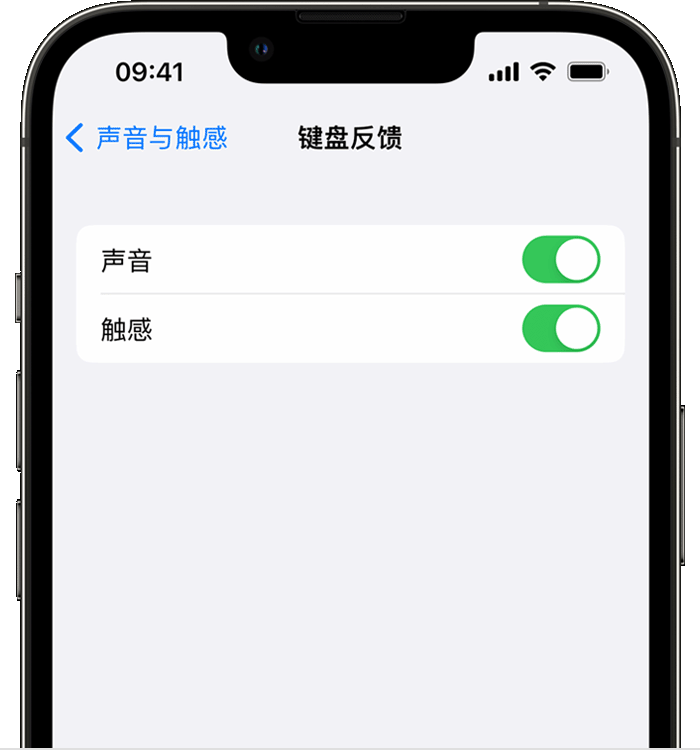 隆昌苹果14维修店分享如何在 iPhone 14 机型中使用触感键盘 