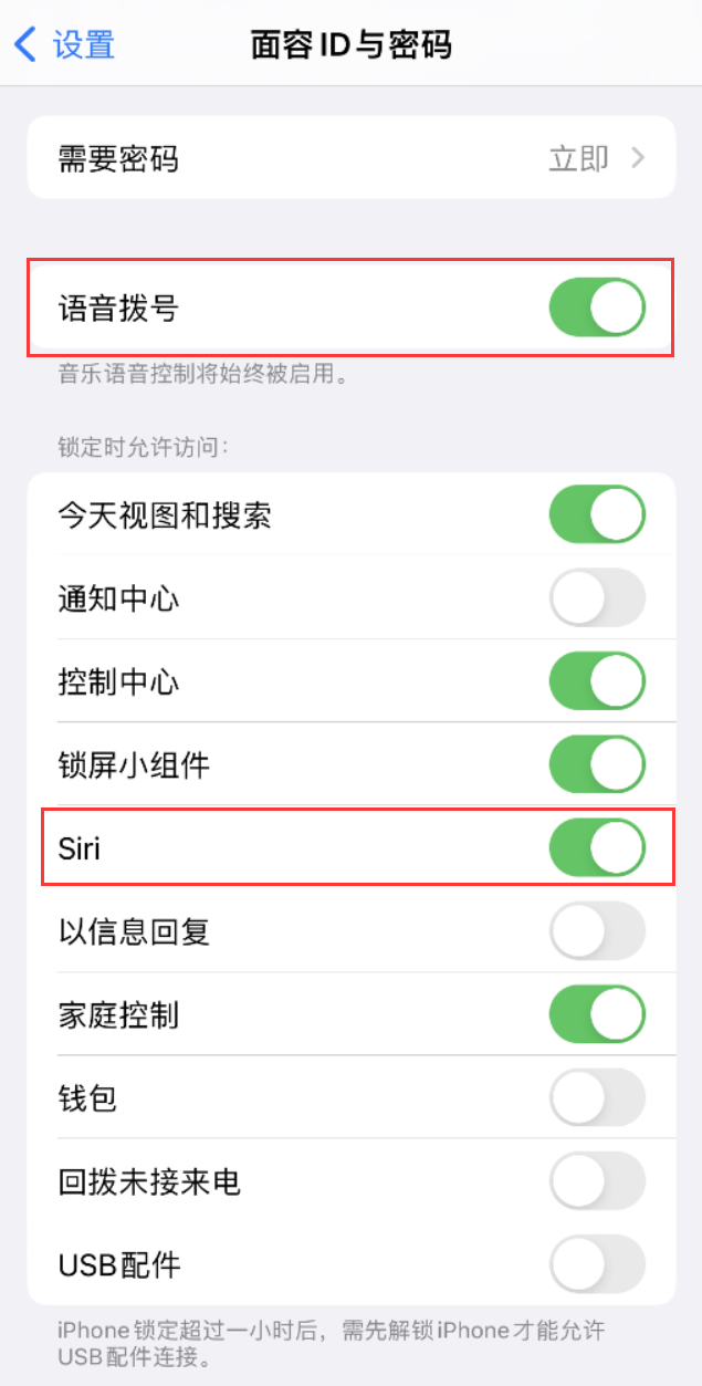 隆昌苹果维修网点分享不解锁 iPhone 的情况下通过 Siri 拨打电话的方法 