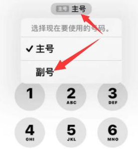 隆昌苹果14维修店分享iPhone 14 Pro Max使用副卡打电话的方法 