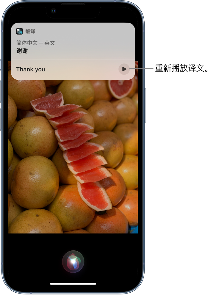 隆昌苹果14维修分享 iPhone 14 机型中使用 Siri：了解 Siri 能帮你做什么 