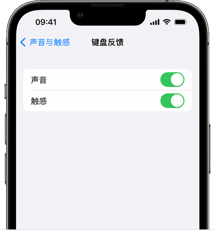 隆昌苹果14维修分享iPhone 14 系列机型如何开启键盘声音或触感反馈 