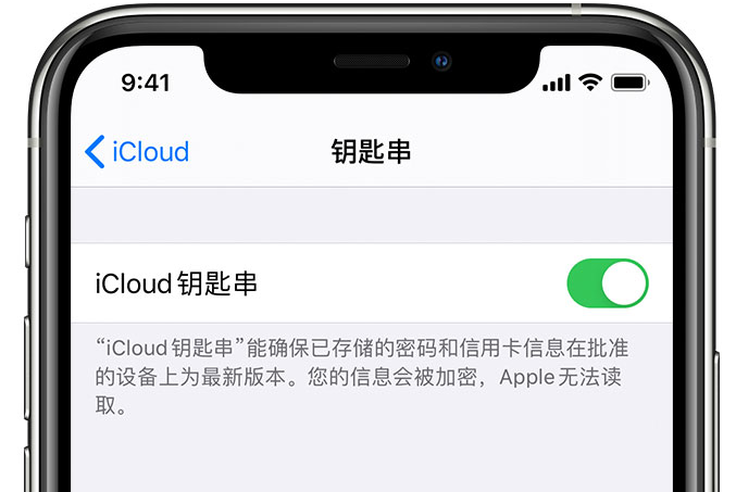 隆昌苹果手机维修分享在 iPhone 上开启 iCloud 钥匙串之后会储存哪些信息 