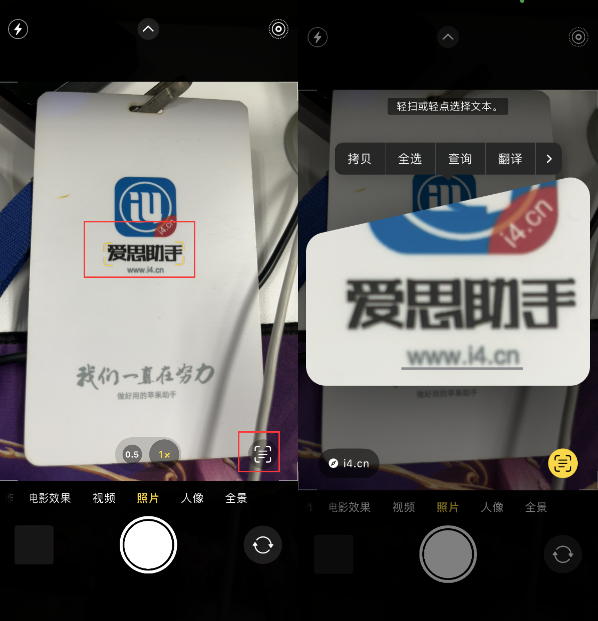 隆昌苹果手机维修分享升级iOS 16后如何通过相机翻译文本 