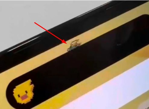 隆昌苹果14维修分享iPhone 14 Pro Max灵动岛怎么养宠物 