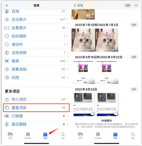 隆昌苹果手机维修分享iOS 16 中相册重复项目功能使用方法 