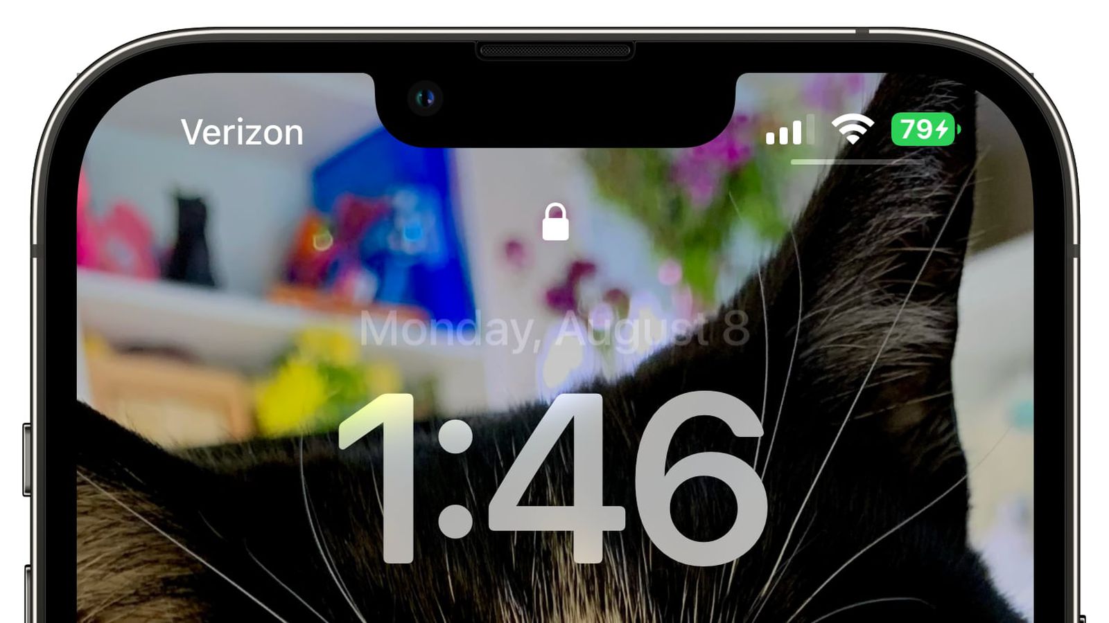 隆昌苹果手机维修分享iOS 16 beta 5 支持状态栏显示电池百分比，如何开启？支持哪些机型 