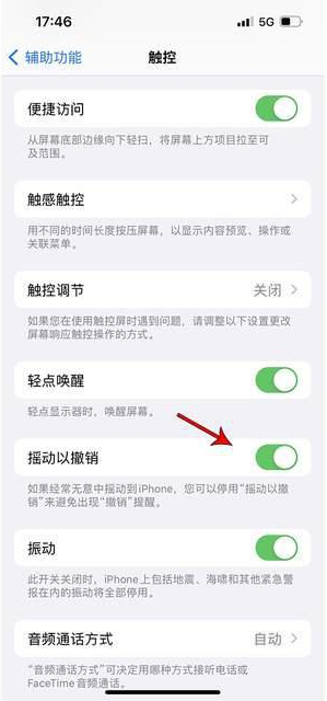 隆昌苹果手机维修分享iPhone手机如何设置摇一摇删除文字 