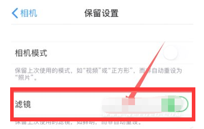 隆昌苹果13维修分享iPhone13拍照有绿点是怎么回事 