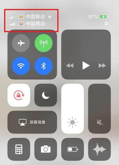 隆昌苹果手机维修分享为 iPhone 12 双卡设置标签 